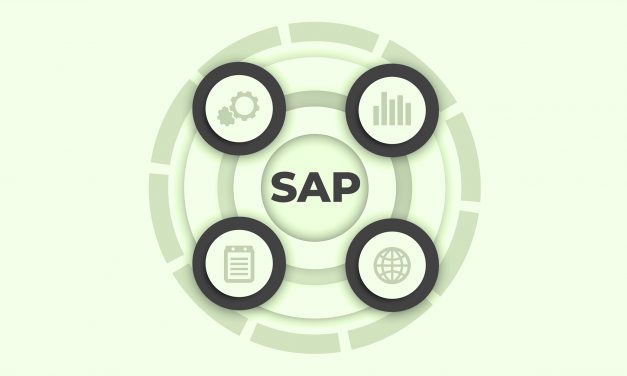 SAP ERP dla NAPRAWDĘ początkujących – część 1